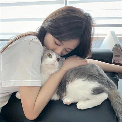 明星危情