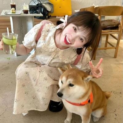 铳梦：战斗天使