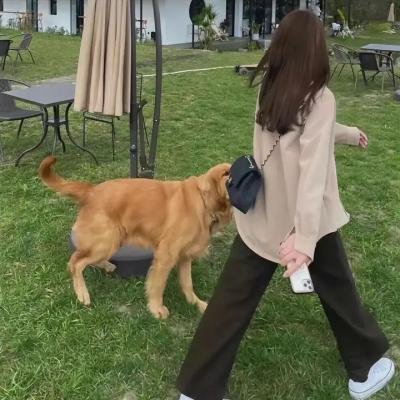 哈利波特：凤凰会的密令